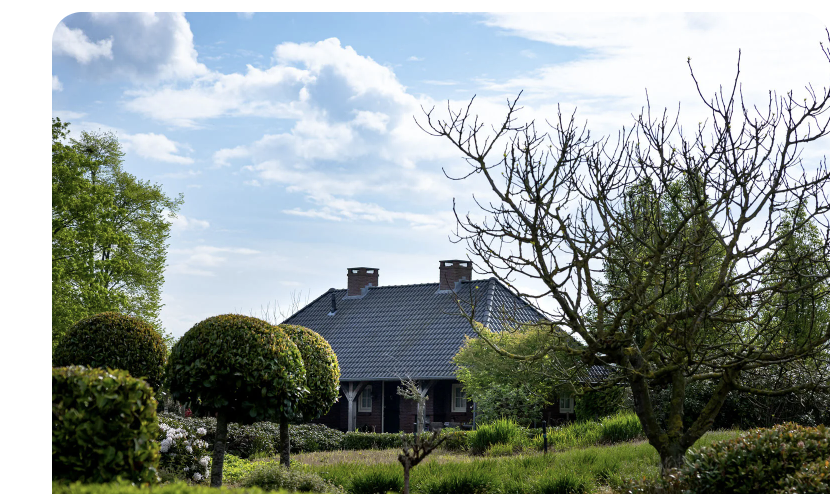 Tuin beplanting