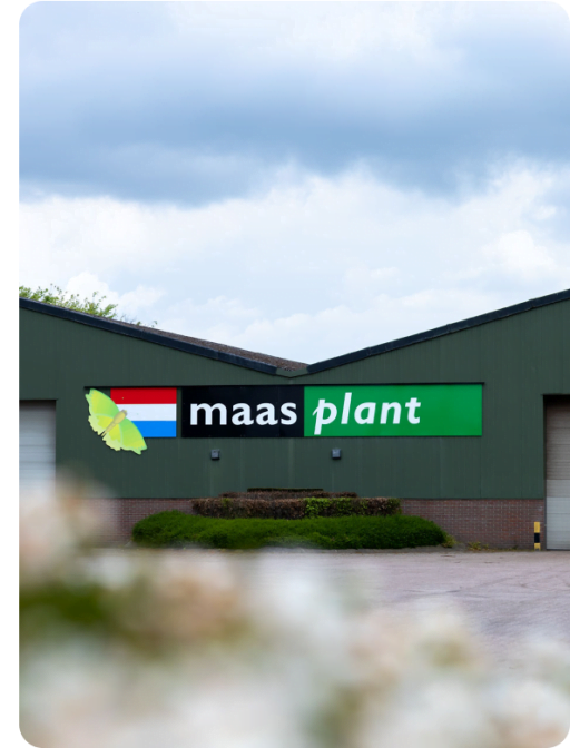 De locatie van Maas Plant
