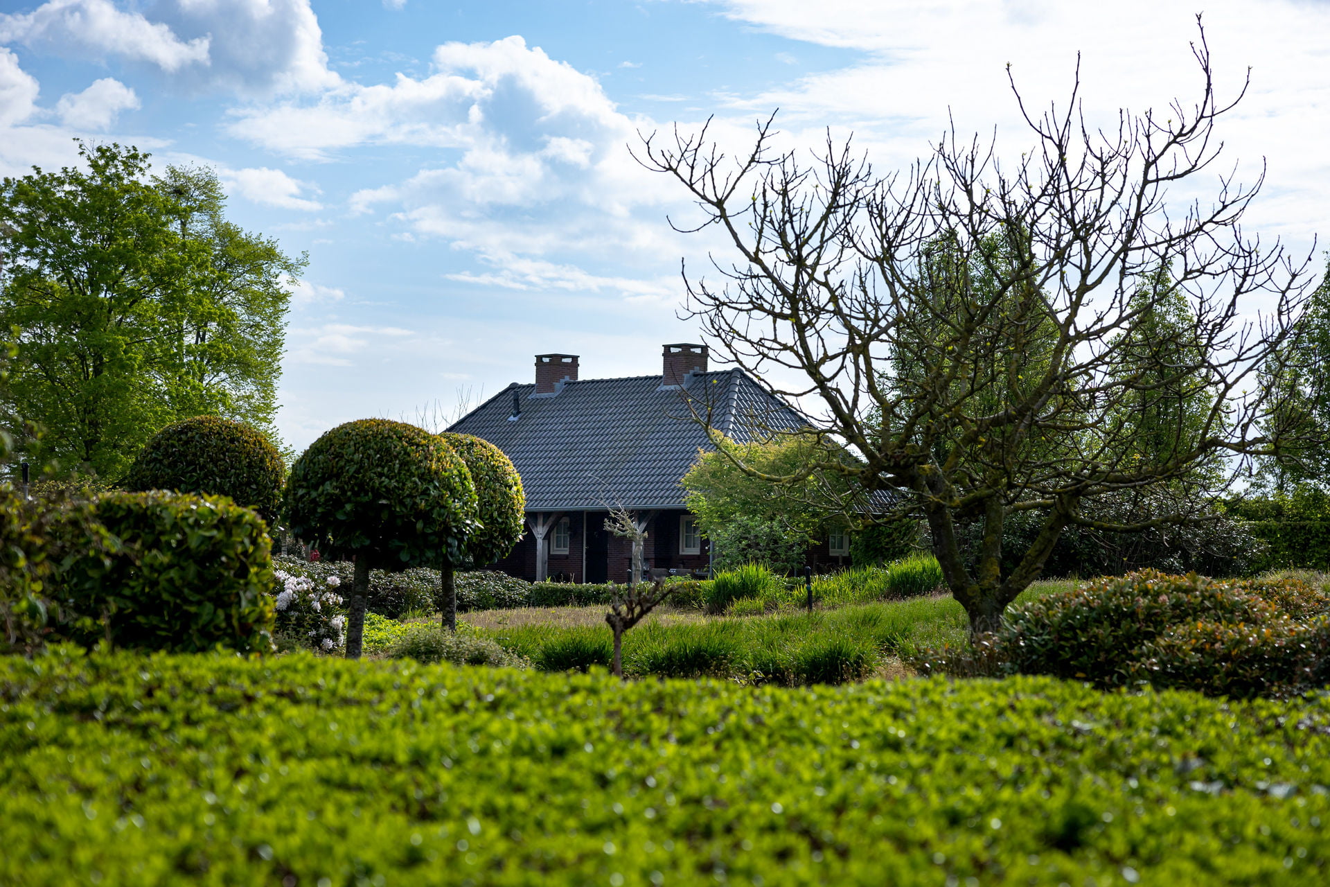 De tuin bij Maas Plant