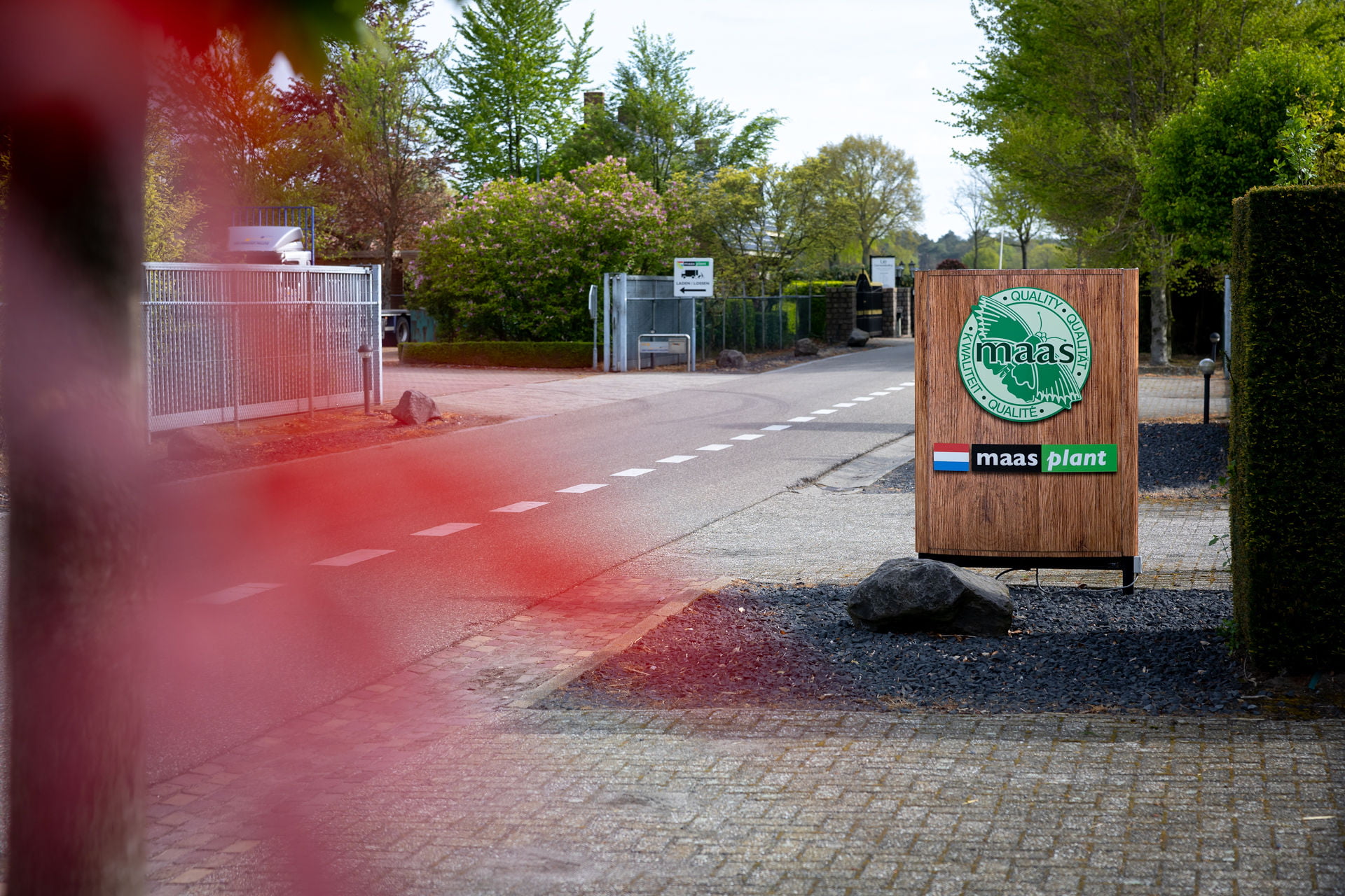 Geschiedenis Maas Plant 4