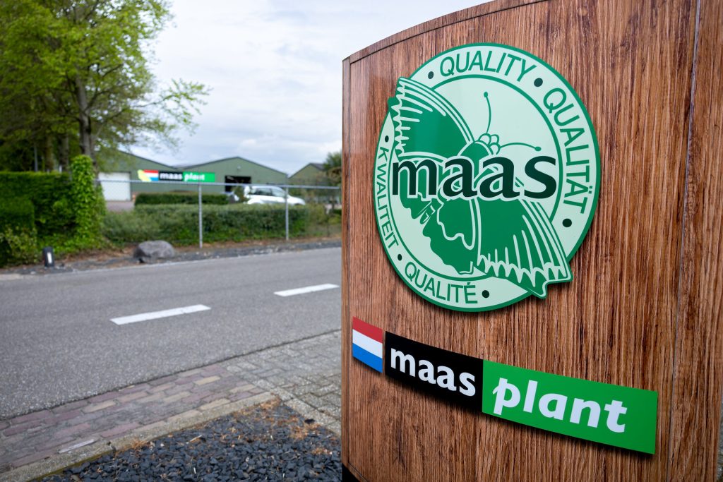 Geschiedenis Maas Plant 15
