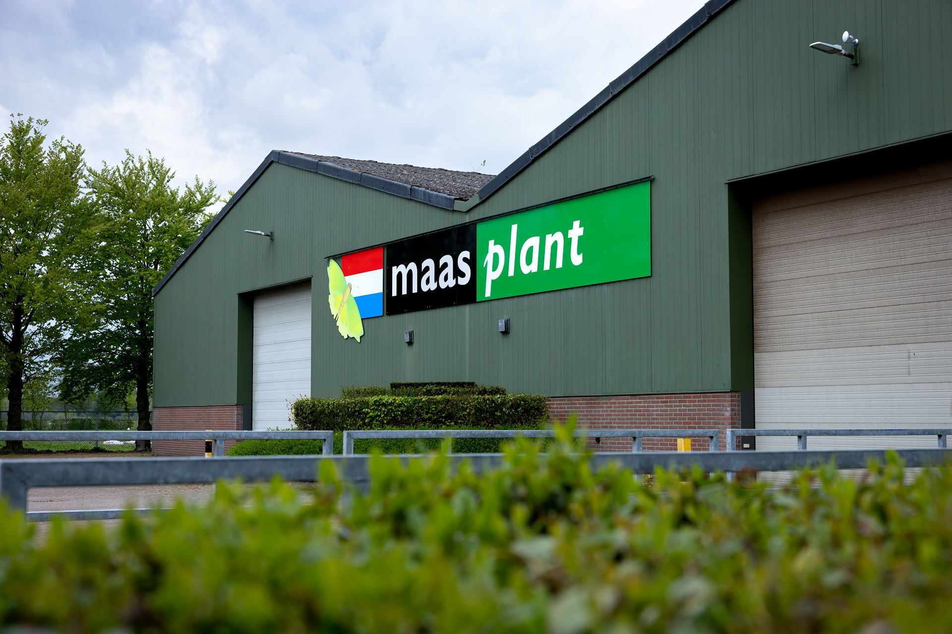 Geschiedenis Maas Plant 7