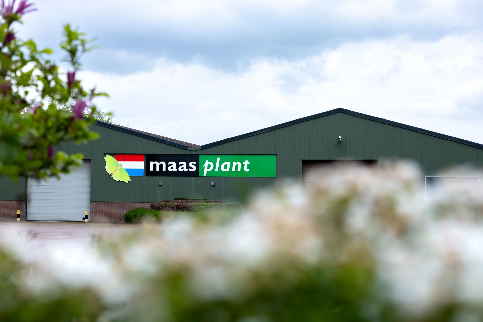 Geschiedenis Maas Plant 14